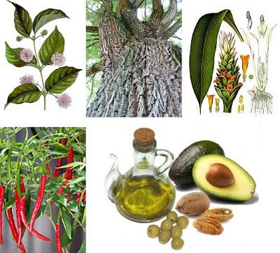 remedios naturales salud y belleza