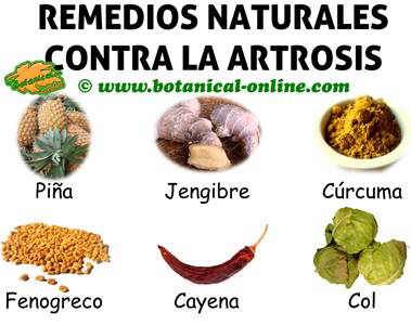 remedios naturales salud